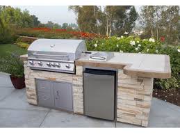 BULL BRAHMA 6 Burner Built in Natural Gas BBQ Grill Head with Rotisserie and Cover